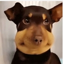 https://man.talkfx.co/upload/upload/file/2025/03-14/17419471392201683944909.png